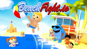 BeachFlight.io