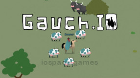 Gauch.io