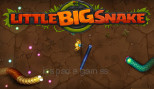 Little Big Snake io
