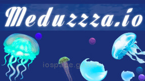 Meduzzza.io