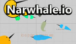 Narwhale.io