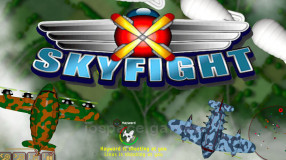 Skyfight.io