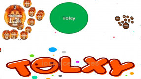 Tolxy