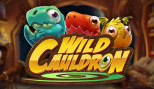 Wild Cauldron
